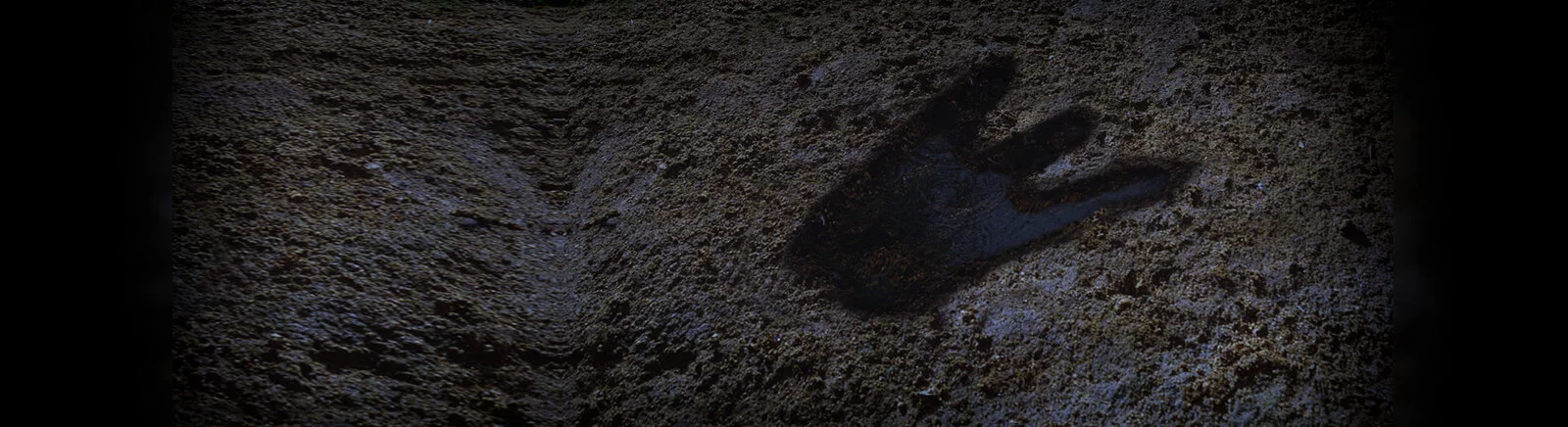 Kup Close Combat (Close Combat: Prenez le commandement de véritables soldats) tanio, zniżki do 90% 🏷️, porównanie cen w różnych sklepach