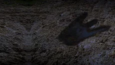 Close Combat - gra w gatunku Historyczna