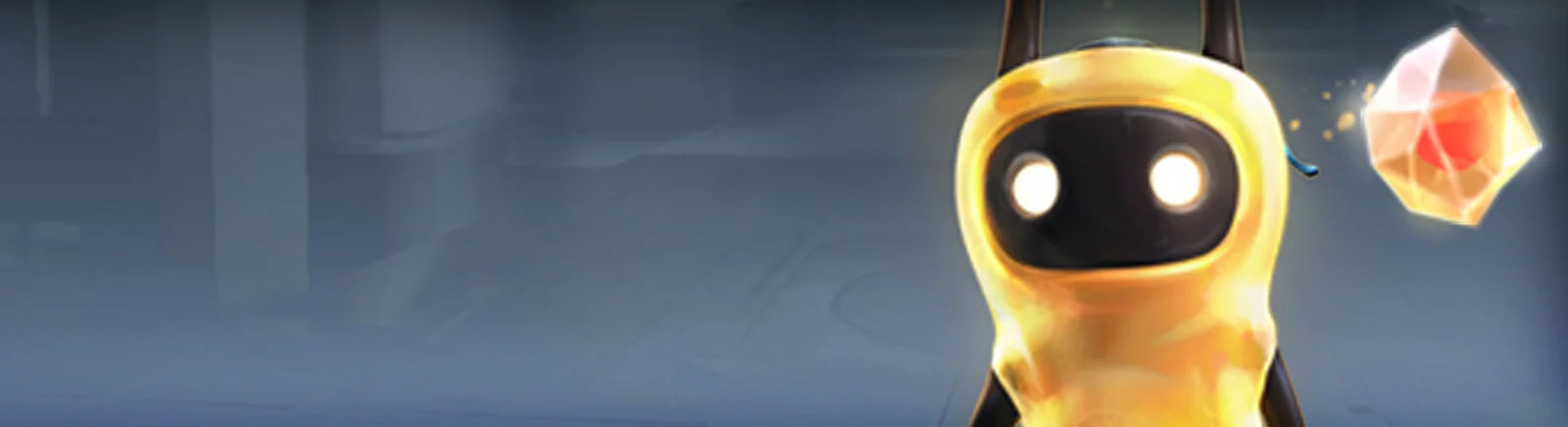 Data wydania Warp w różnych krajach na świecie