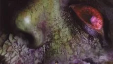 Fear - gra w gatunku Interaktywne kino