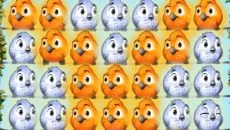 Fluffy Birds - gra w gatunku Trzy w rzędzie (Match-3)