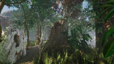 Forest (1980) - gra w gatunku Symulator