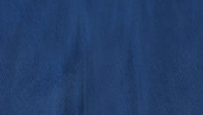 Napoleon - gra w gatunku Turowa