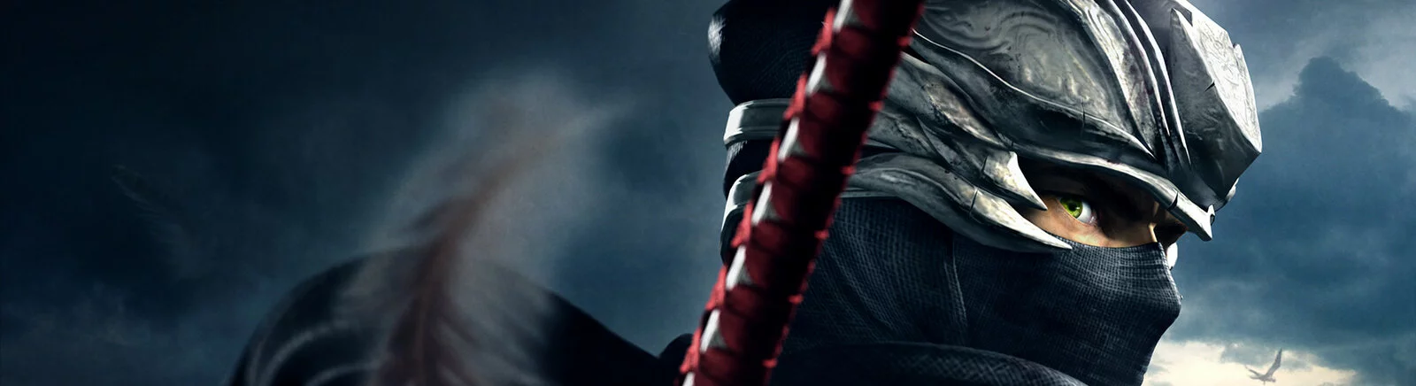 Data wydania Ninja Gaiden 2 w różnych krajach na świecie