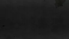 Sam & Max 302: The Tomb of Sammun-Mak - gra w gatunku Przygoda