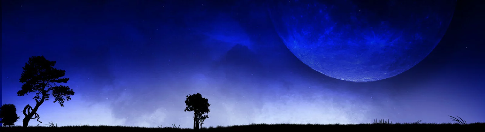 Forum Star Sky