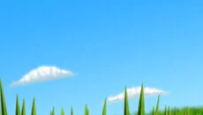 Tumblebugs - gra w gatunku Widok z trzeciej osoby