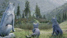 Wilderness: A Survival Adventure - gra w gatunku Widok z pierwszej osoby