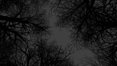 Witch Hunt - gra w gatunku Dodatki
