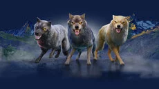 Wolf - gra w gatunku Widok z góry