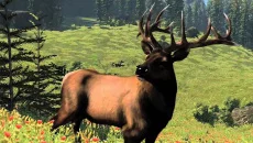 Cabela's North American Adventures - data wydania dla PlayStation 2