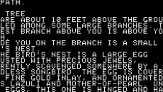 Zork: The Great Underground Empire - gra w gatunku Przygoda