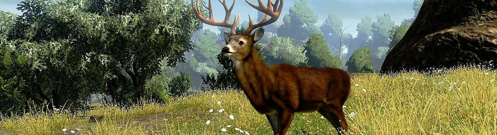 Kup Cabela&#039;s Outdoor Adventures tanio, zniżki do 90% 🏷️, porównanie cen w różnych sklepach