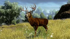 Cabela's Outdoor Adventures - gra w gatunku Strzelanka