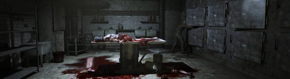 Wszystkie recenzje i oceny Outlast: Whistleblower — 1 opinia
