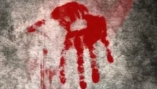 How to Survive 2 jest podobna do How to Survive 2