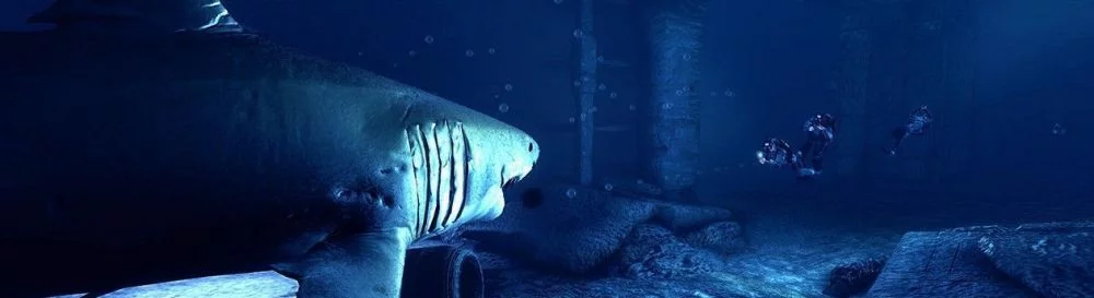 Kup Depth tanio, zniżki do 90% 🏷️, porównanie cen w różnych sklepach