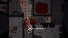 Survivor Squad - gra w gatunku Rogalik