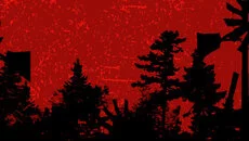 PaperMan - gra w gatunku Online