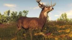 theHunter Classic - gra w gatunku Darmowa gra