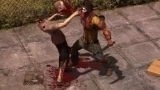 How to Survive 2 - gra w gatunku Izometria