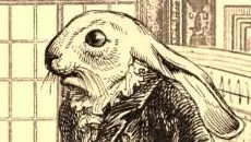 Aviary Attorney - gra w gatunku Visual novel