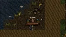 9th Dawn - gra w gatunku Gra fabularna