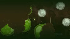 Ecotone - gra w gatunku Widok z boku