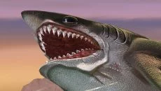 Hungry Shark World - gra w gatunku Darmowa gra