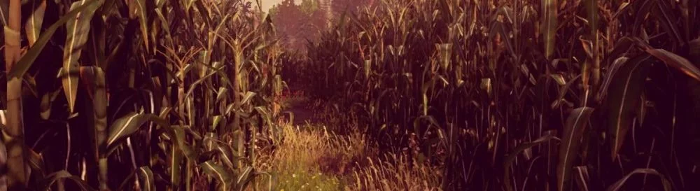 Data wydania Maize w różnych krajach na świecie