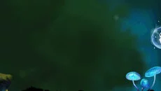 Flying Slime
