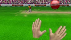 New Star Cricket - gra w gatunku Widok z pierwszej osoby