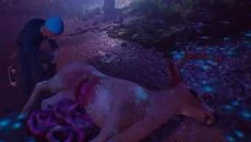 Lost Lake Lights - gra w gatunku Przygoda