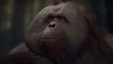 Crisis on the Planet of the Apes jest podobna do Crisis on the Planet of the Apes
