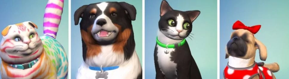 Data wydania Sims 4: Cats & Dogs (Sims 4: Cats and Dogs) w różnych krajach na świecie