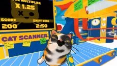 Cat Sorter VR - gra w gatunku Wirtualna rzeczywistość (VR)