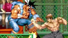 Street Fighter 30th Anniversary Collection - gra w gatunku Arkaada