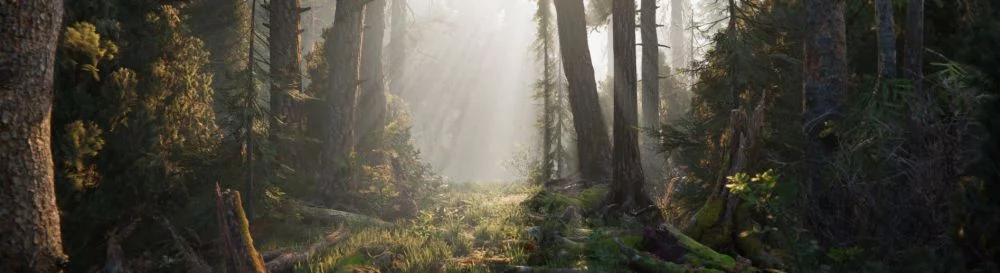 Kup Book of the Dead tanio, zniżki do 90% 🏷️, porównanie cen w różnych sklepach