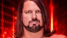 WWE 2K19 - gra w gatunku Bijatyka