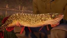 Ultimate Fishing Simulator jest podobna do Ultimate Fishing Simulator