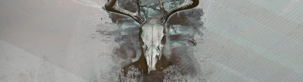 Forum Intruders: Hide and Seek