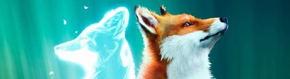 Kup Spirit of the North tanio, zniżki do 90% 🏷️, porównanie cen w różnych sklepach