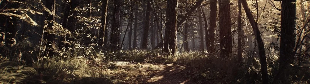 Wszystkie recenzje i oceny Blair Witch — 4 opinie