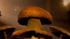 Mushrooms: Forest Walker - gra w gatunku Widok z pierwszej osoby