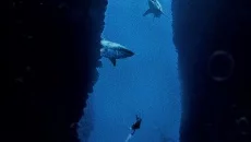 Penumbra: Overture - Episode 1 jest podobna do Penumbra: Overture - Episode 1