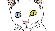 Play With Gilbert - A Small Tail jest podobna do Play With Gilbert - A Small Tail