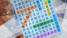 Guess & Find - gra w gatunku Łamigłówka