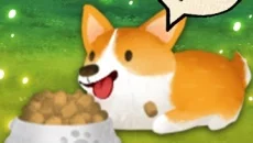 Animal Forest: Fuzzy Seasons - gra w gatunku Symulator