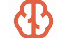 Braincup - gra w gatunku Gra edukacyjna (Edukacja)
