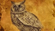 October Night Games - gra w gatunku Gra planszowa / gra grupowa